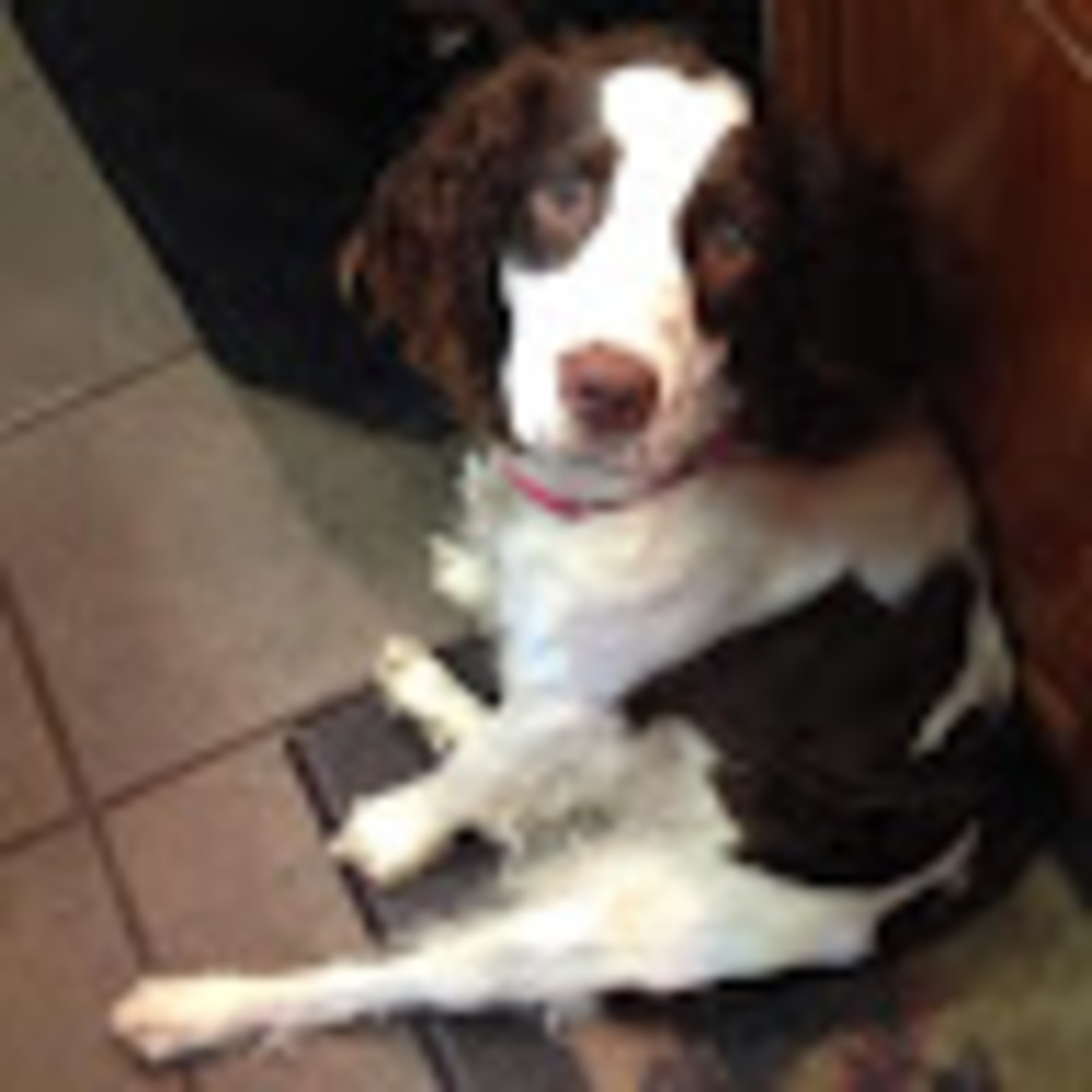 Meet your Posher, Katie